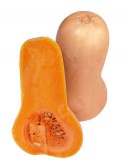 what-butternut-squash-looks-like.jpg